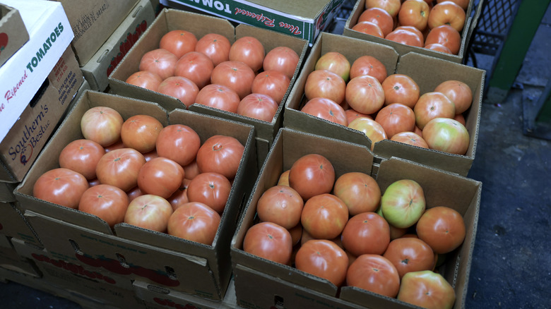 Boxes of tomatoes at varying degrees of ripeness.