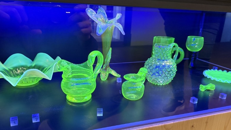 Different types of uranium kitchen glassware glowing green under UV light on a display shelf.