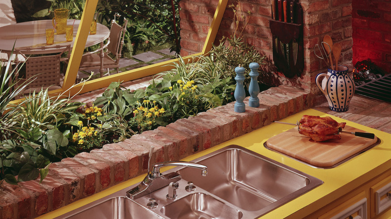 Plants in kitchen