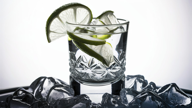 a glass of vodka garnished and infused with lime on ice