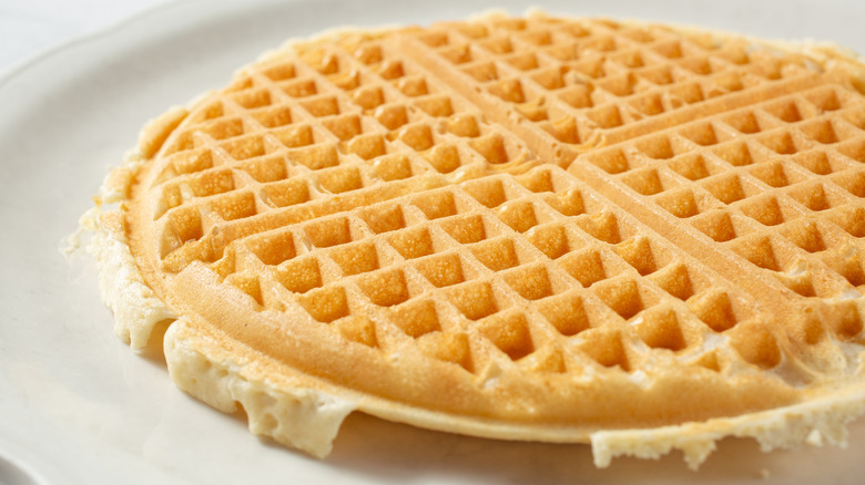 Plain, round waffle on a white plate
