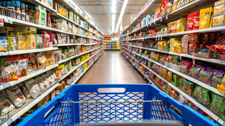 First-person view of a person pushing a Walmart shopping cart.