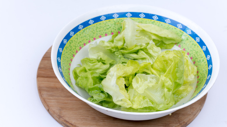 Fresh green lettuce salad in a bowl.
