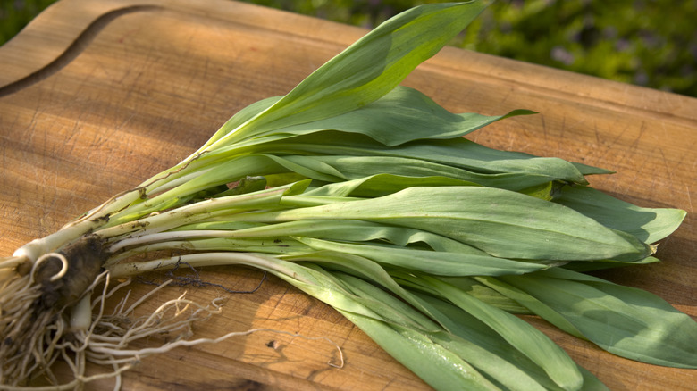 Ramps on a wooden surface