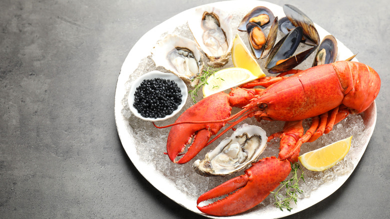 Lobster and seafood on a white plate