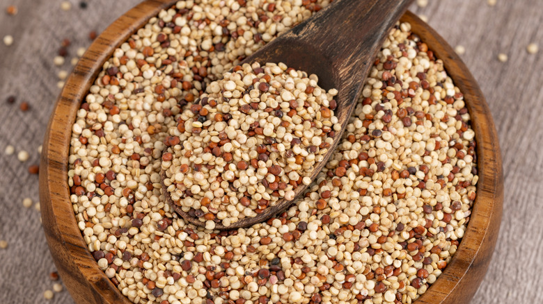 Tri-color quinoa in a bowl with a spoon scooping some out