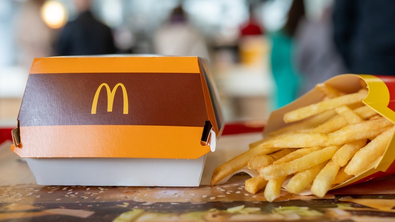 Big Mac box next to an order of McDonald's fries