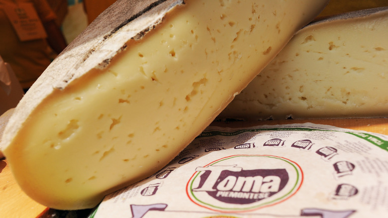 up close sliced toma cheese on wheel of toma