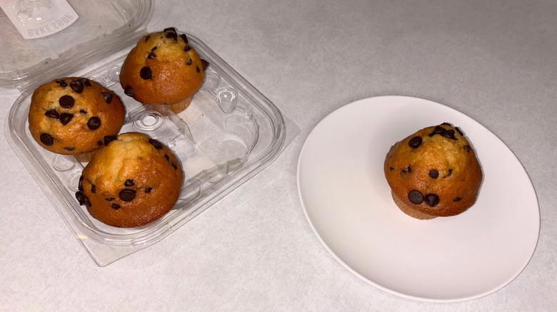 Container of chocolate chip muffins and one on a white plate.