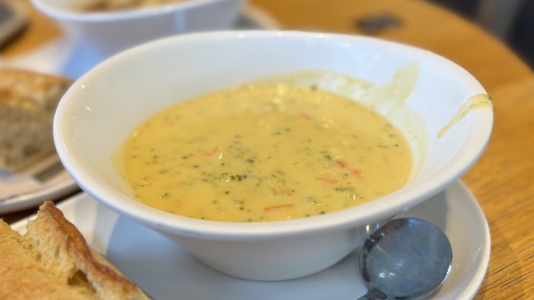 Panera Bread Broccoli Cheddar Soup