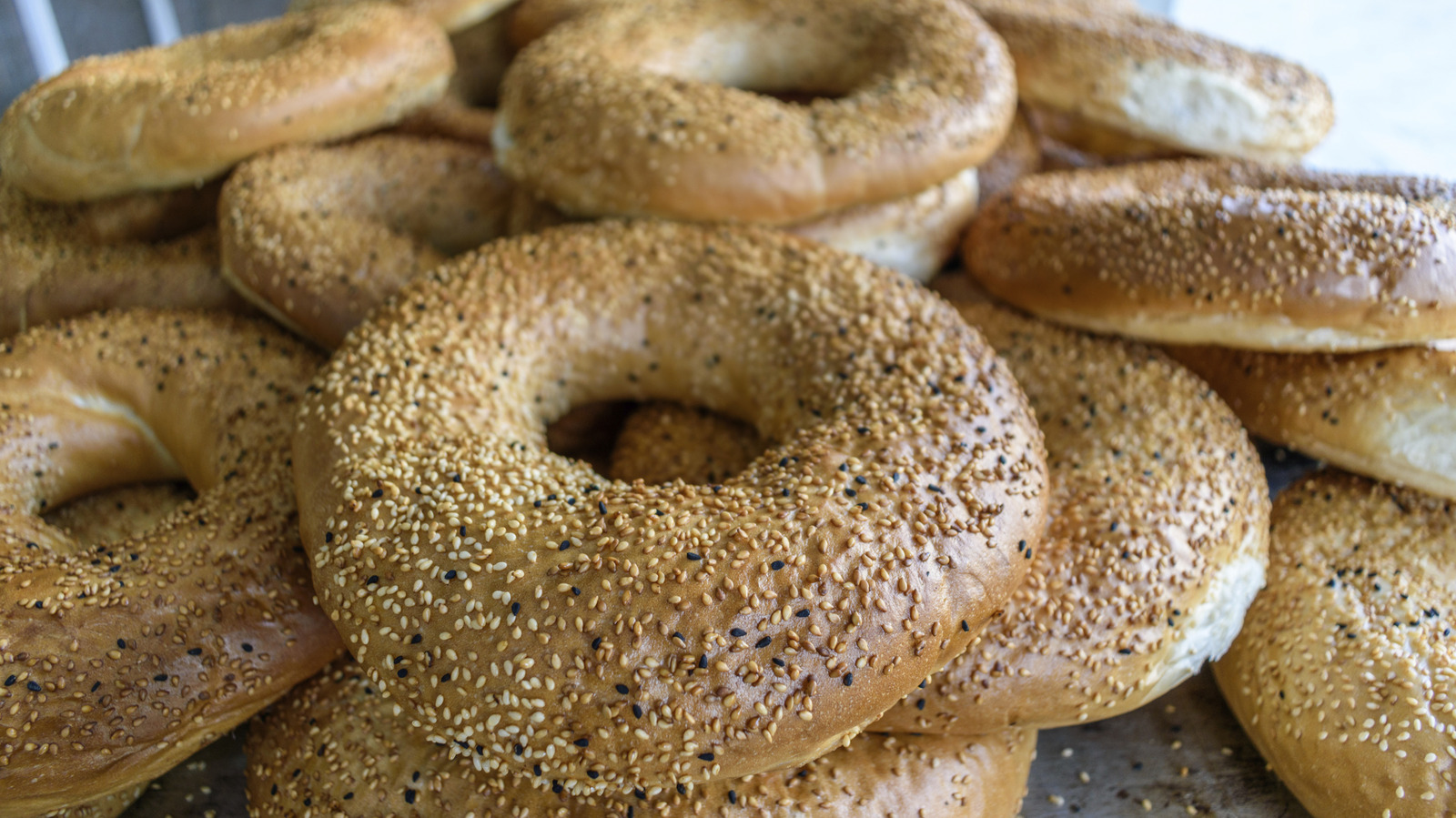 West Coast Vs East Coast Bagels: Is There Actually A Difference?