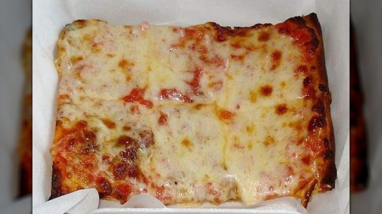 Rectangular school lunch cheese pizza