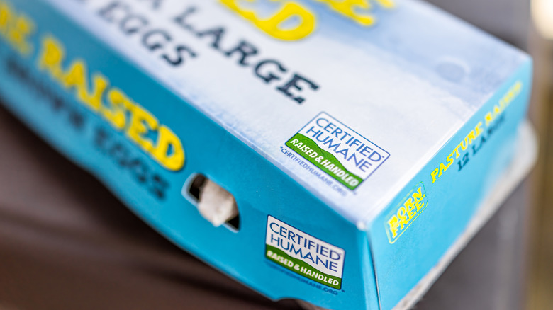 box of Certified Humane eggs