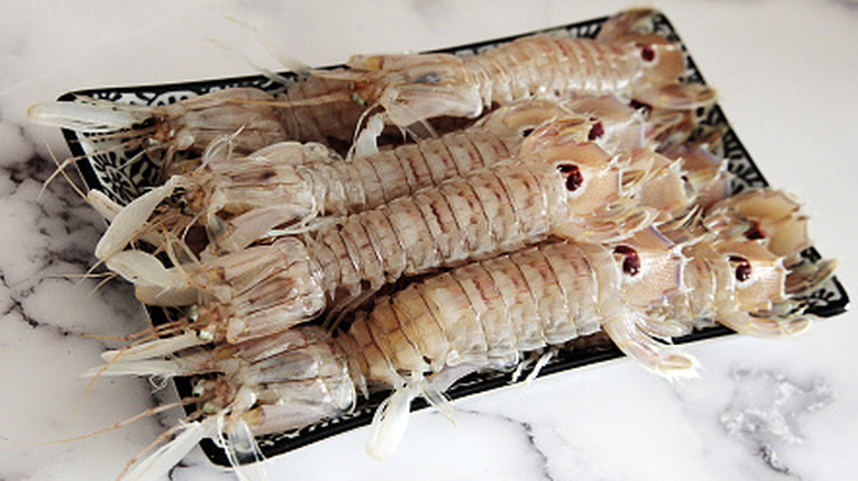 Plate of uncooked mantis shrimp on marbled countertop.