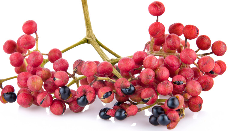 Sichuan peppercorn berries cracking open to reveal the seed