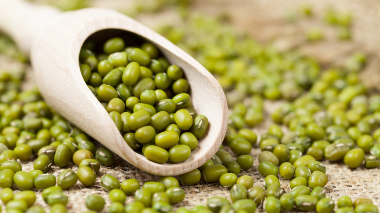Mung beans in wooden scoop on burlap cloth