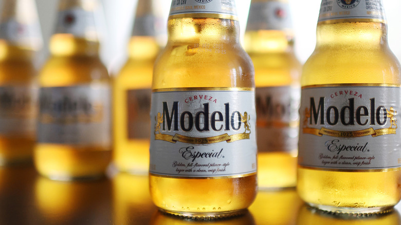 Bottles of Modelo Especial Mexican lager.