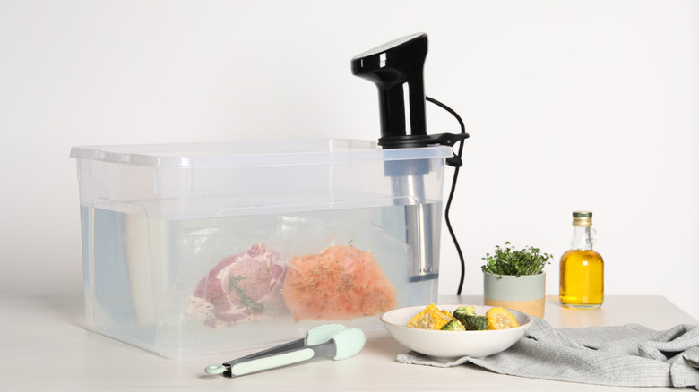 A sous vide machine in a plastic tub containing fish and meat submerged in the water