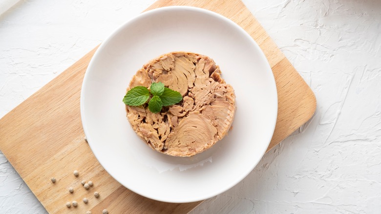 Canned tuna on plate