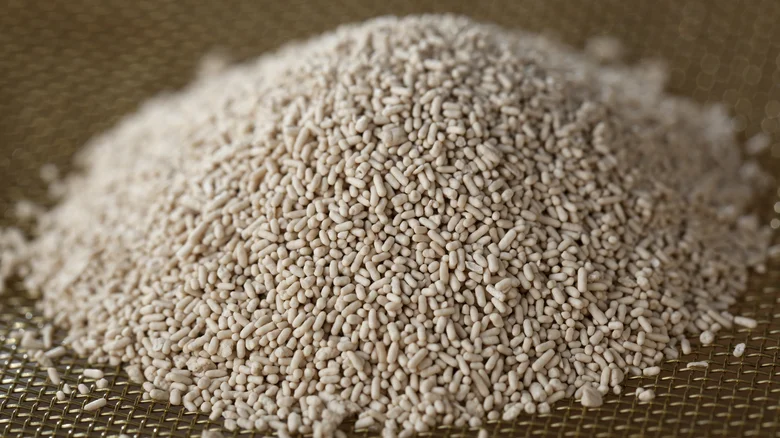 Zeolite Clay Powder