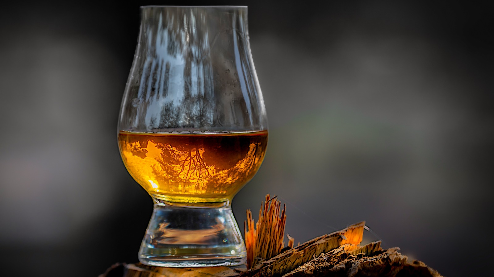 What Does Peat Mean When It Comes To Whiskey?