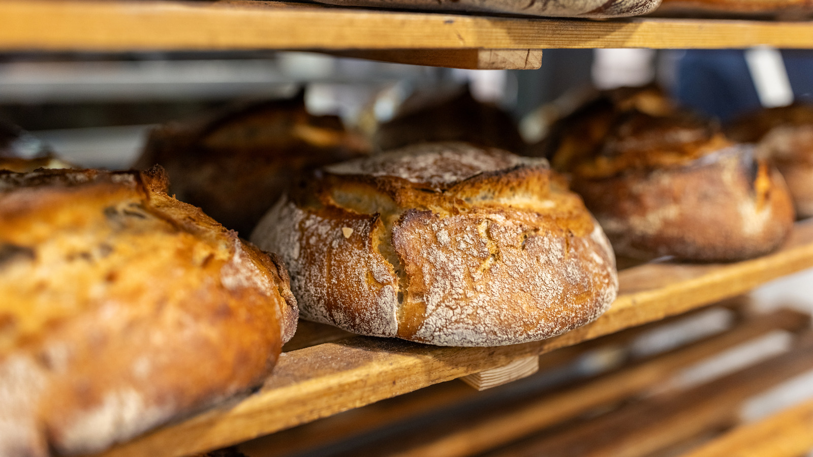 Was genau verleiht Sauerteigbrot seinen charakteristischen Geschmack?