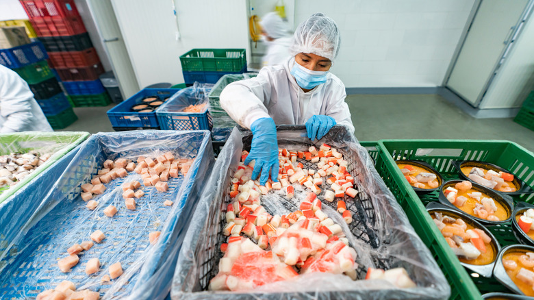Surimi procssing plant