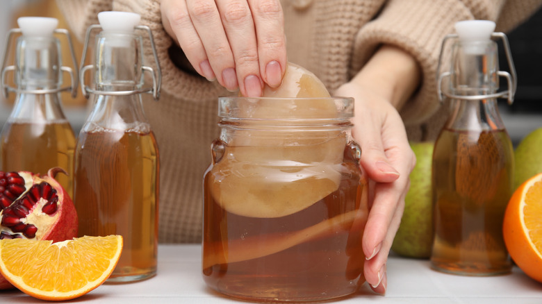 A hand holding kombucha's SCOBY being dipped into the liquid