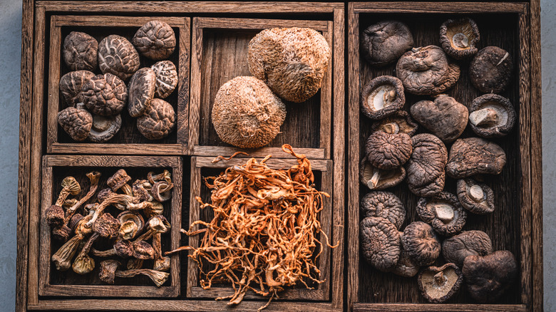 Collection of dried mushrooms in a wooden box