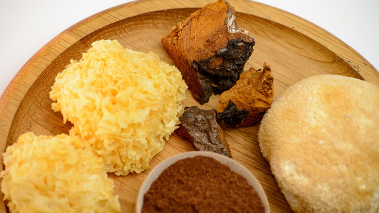 Assorted functional mushrooms and powder on wooden platter