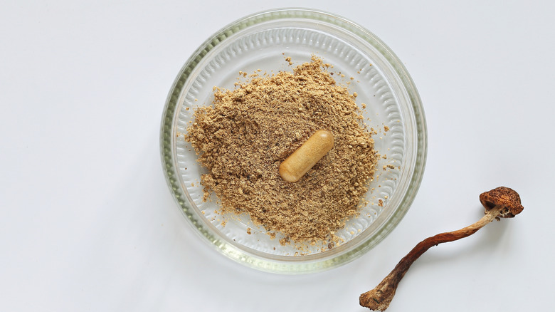 Glass ramekin of mushroom powder with a single capsule in it and one dehydrated mushroom