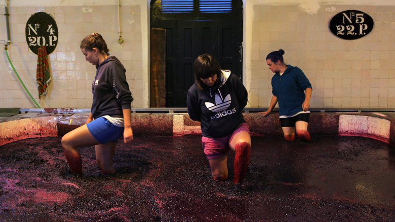 women stomping grapes for port