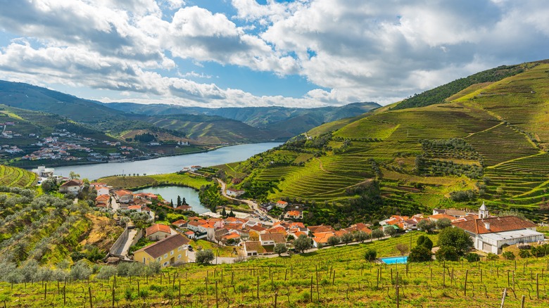 Douro Valley with mountains and houses