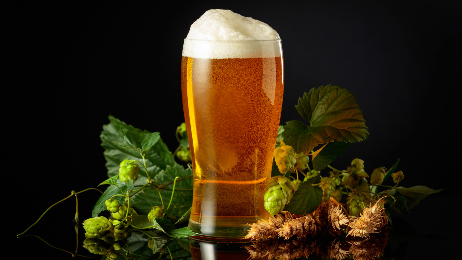 What Is Botanical Beer?