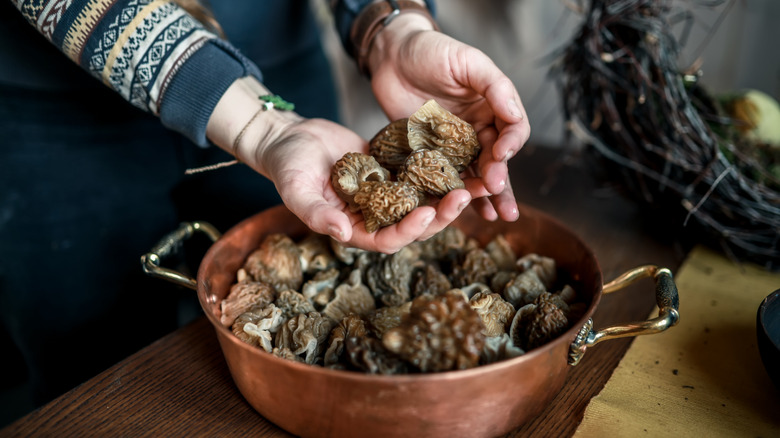 Hands holding a bunch of morels over a copper pot full of morels