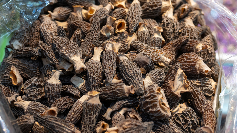 Giant pile of morel mushrooms