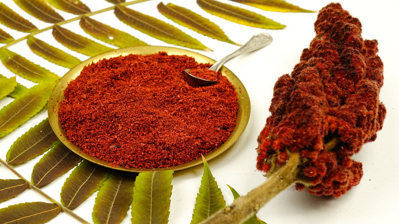 Plate full of powdered sumac next to green leaves and a cluster of sumac flowers on a stem