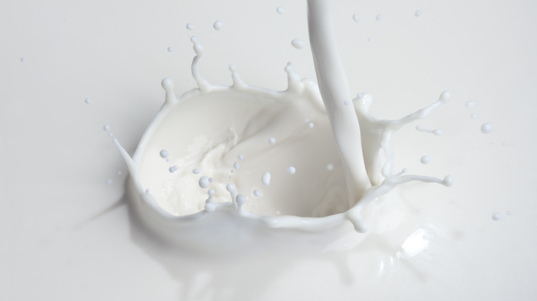 milk pouring and making splash