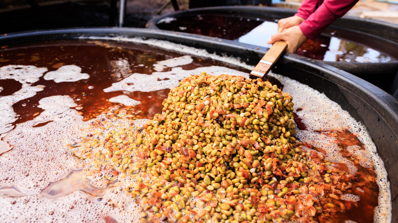 Hands scooping coffee beans in giant pot of liquid
