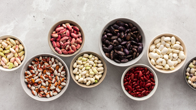 Several bowls containing different types of beans on a grey countertop.