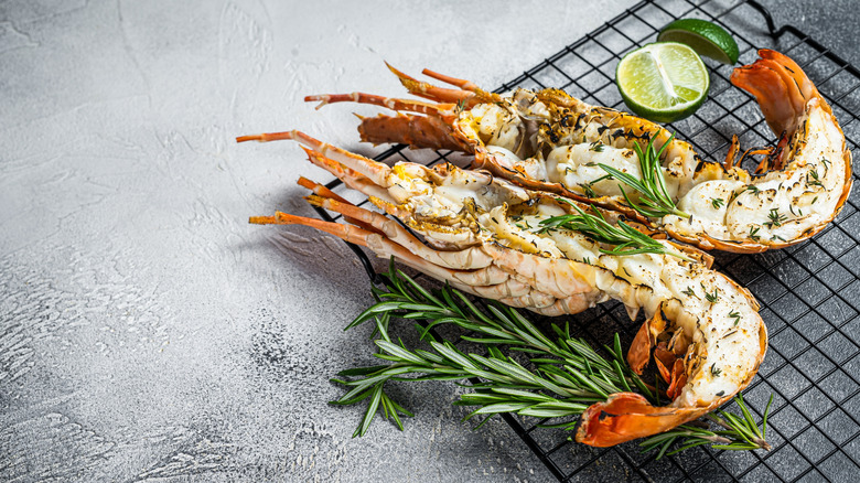 Grilled and seasoned spiny lobster on a black grate.