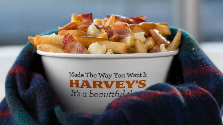 Close-up of Harvey's poutine with bacon