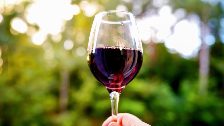 A glass of red wine set against a bokeh backdrop of greenery