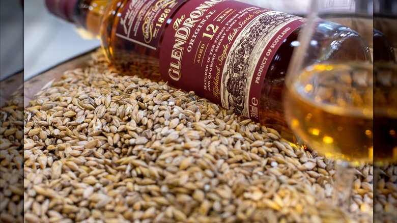 A bottle of Scotch whisky lying in barley