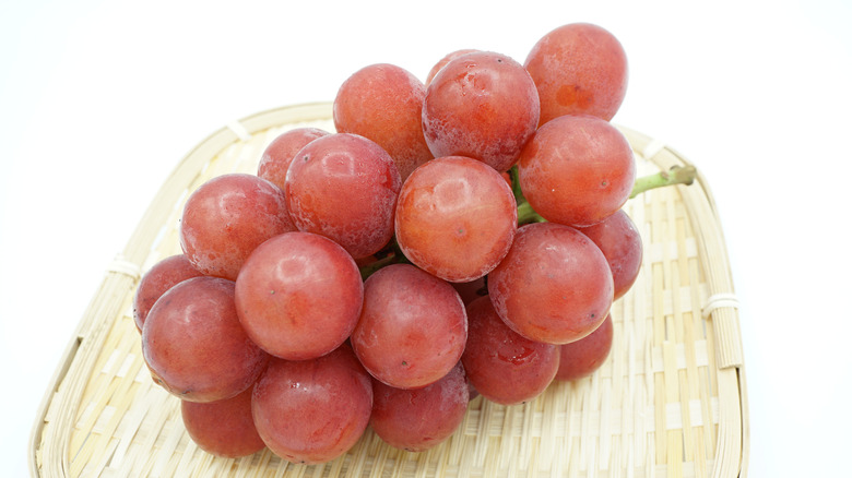 single cluster of Ruby Roman grapes