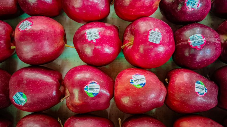 Several red apples with stickers on them, viewed from above.