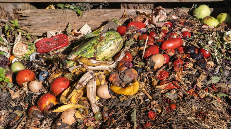 A pile of food waste