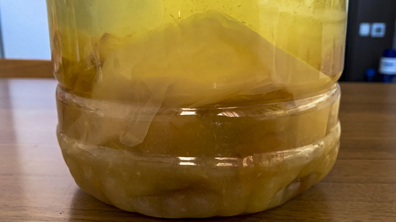 vinegar mother in a jar