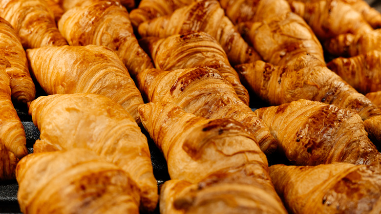 Rows of freshly baked croissants