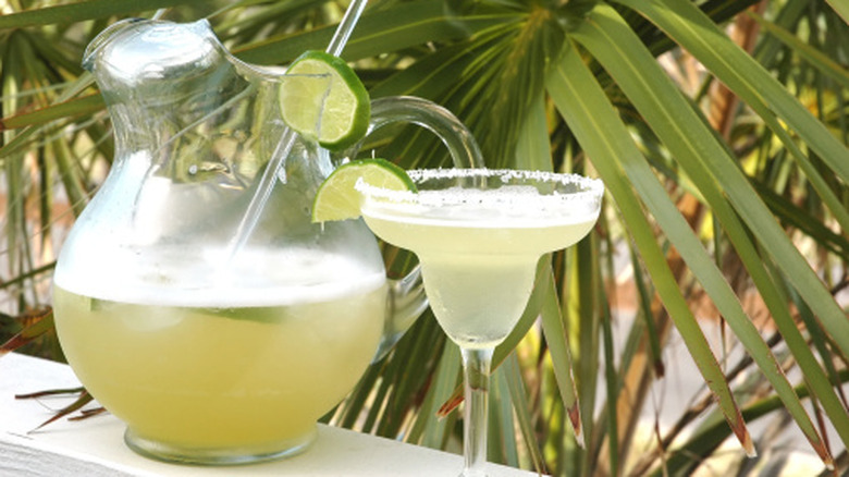 A margarita pitcher next to a glass in front of palms.